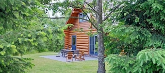 Unique wooden Villa (6p) with sauna in Twente 2