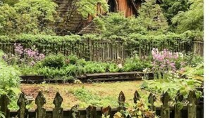 A rustic wooden house surrounded by lush greenery and a wooden fence. - Unique Cypress cottage, close to Charlottesville with mountain views. (Charlottesville)