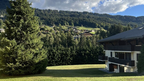 Un campo cubierto de hierba con un edificio moderno de dos pisos que cuenta con un balcón, rodeado de un bosque denso y montañas al fondo.
