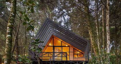 OCULTO REFUGIO DE BOSQUE