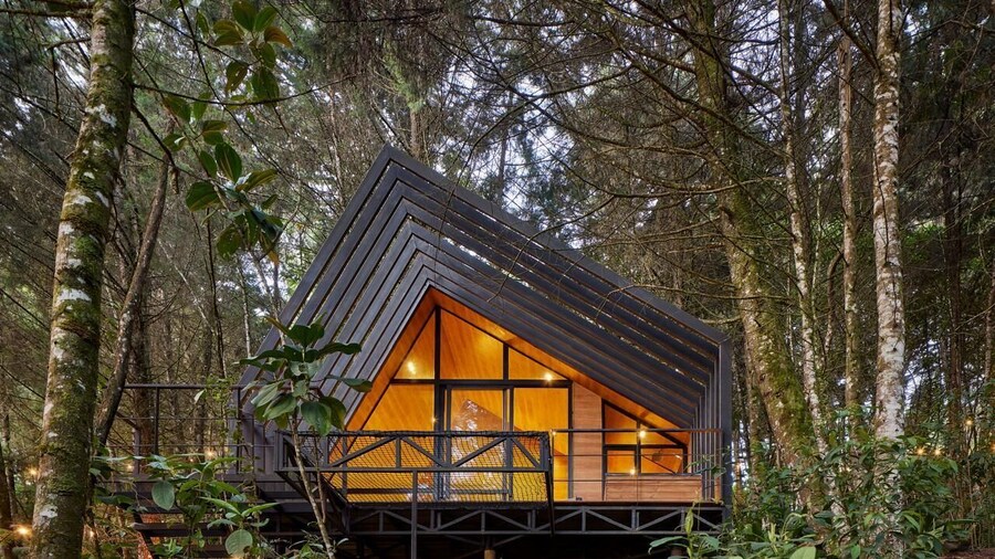 OCULTO REFUGIO DE BOSQUE