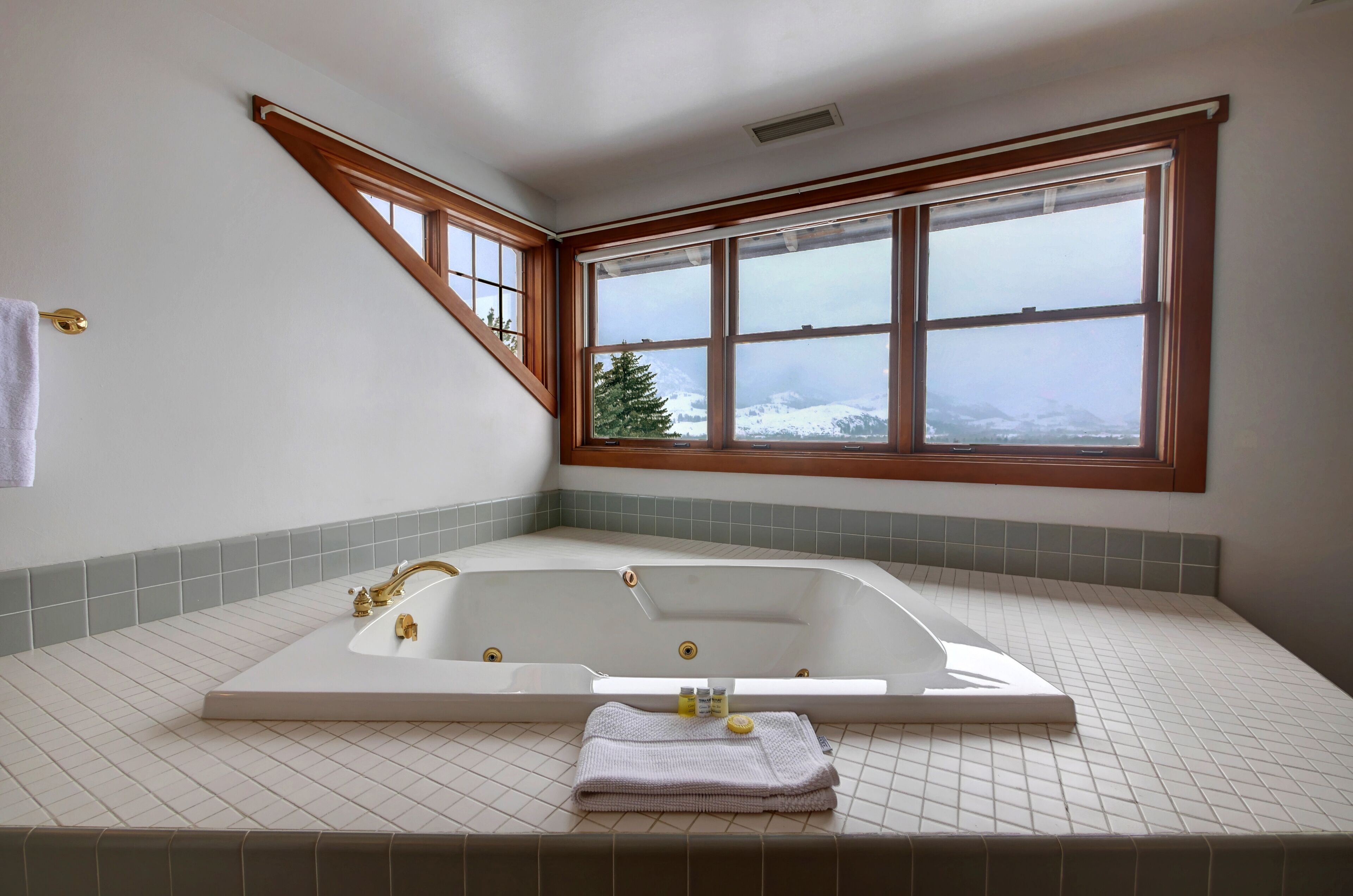 A bathroom with a large bathtub, a window with a view of snow-covered mountains, and a towel on the floor.