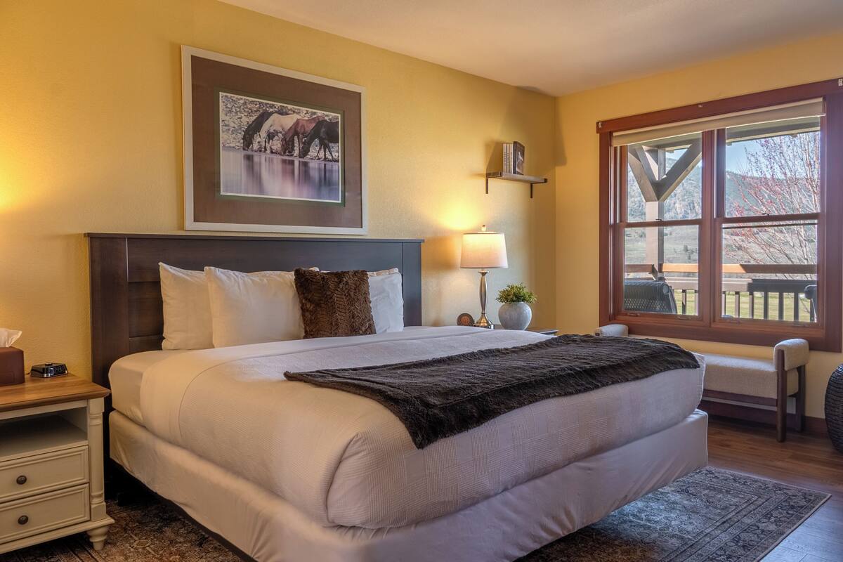A bedroom with a large bed, a nightstand, a bedside lamp, a framed picture on the wall, and a window with a view of the outdoors.
