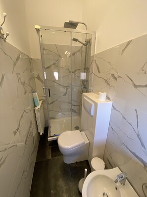 Shower, rainfall showerhead, hair dryer, bidet