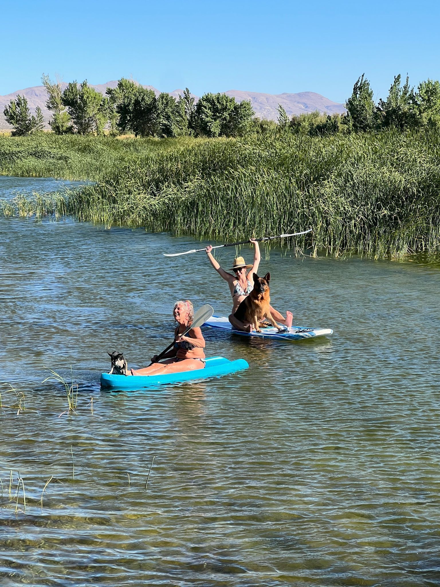 Deux personnes pratiquent le kayak sur une rivière paisible, et un chien se trouve sur un kayak bleu.
