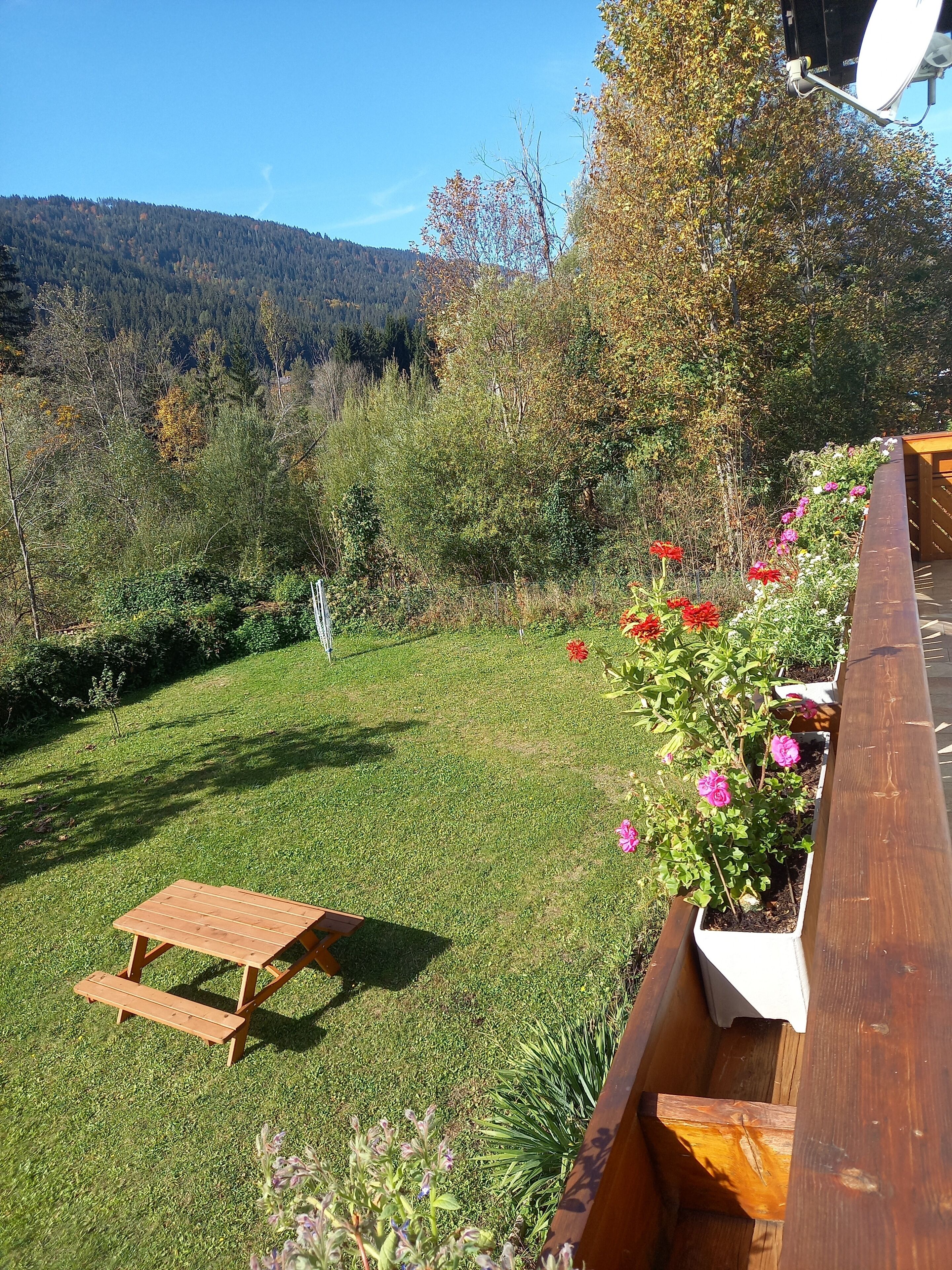 A garden with a wooden bench, flower beds, and a view of a forested hill.