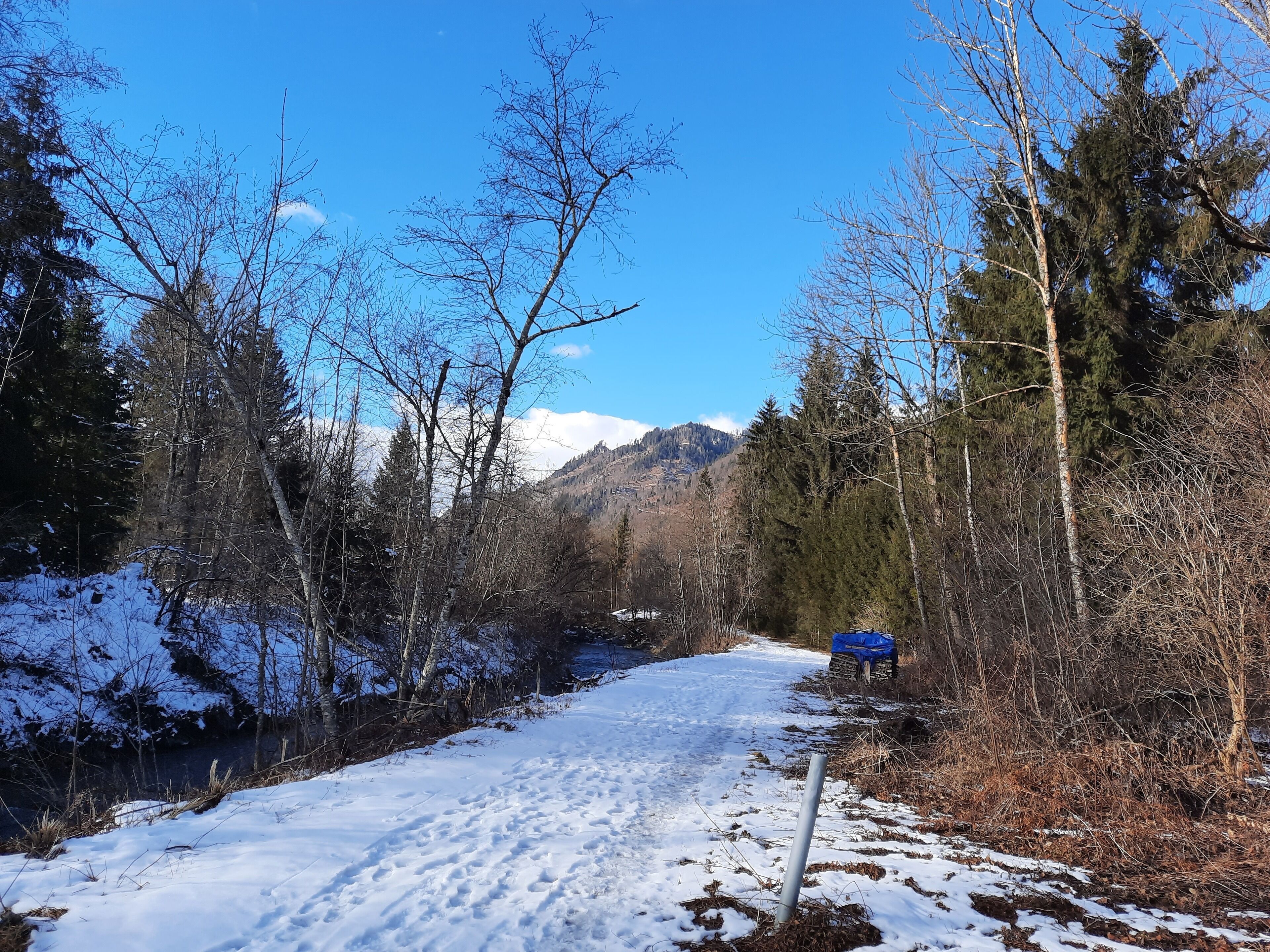 En snötäckt stig i en skog med ett berg i bakgrunden.