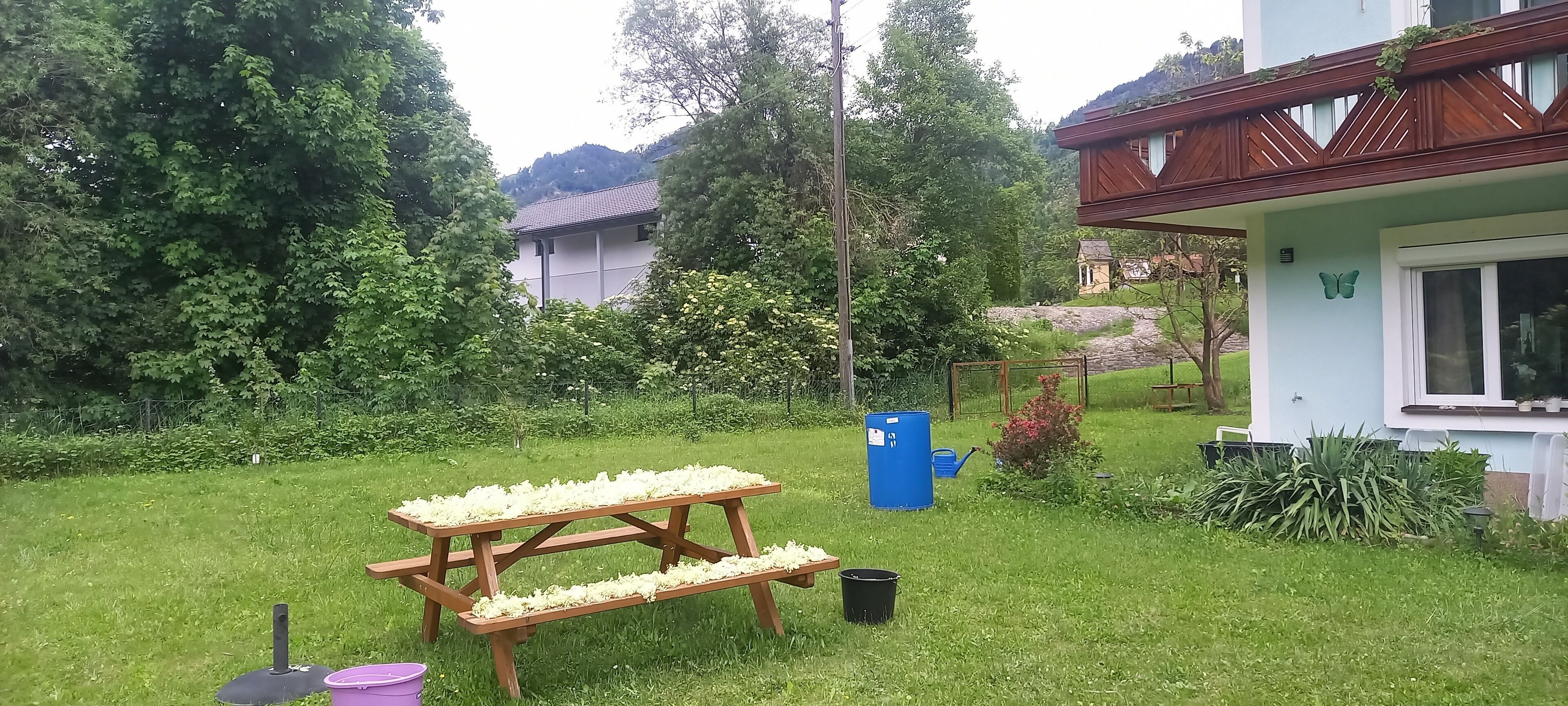 Et picnicbord med blomster, en blå genbrugsbeholder og et hus med en træbalkon.