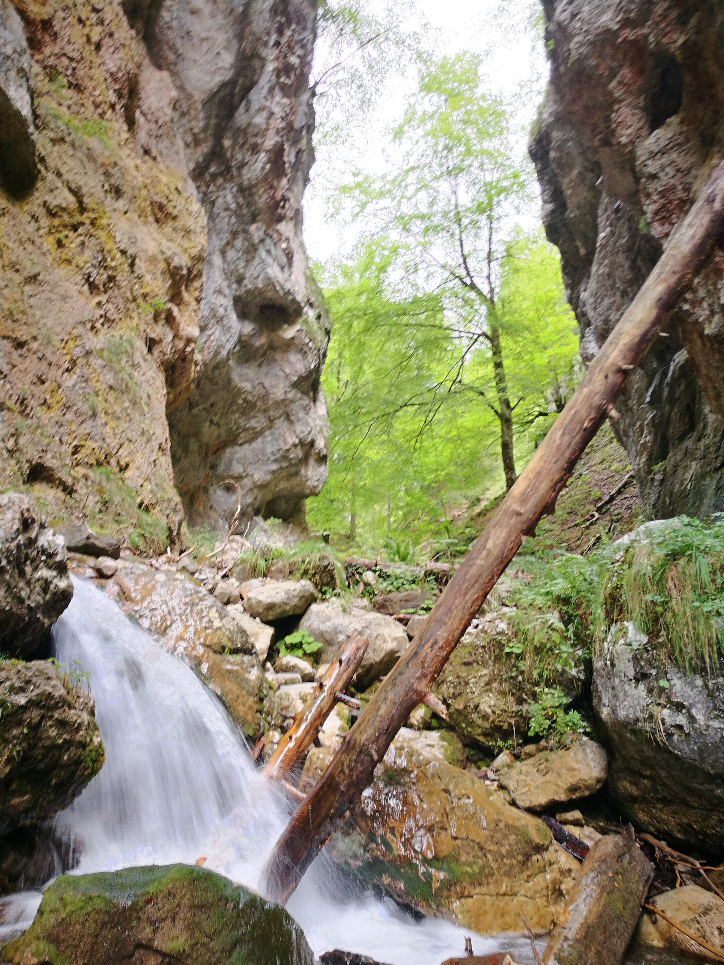 A natural waterfall in a rocky gorge with moss-covered rocks and a fallen tree.