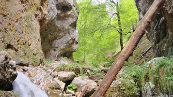 A natural waterfall in a rocky gorge with moss-covered rocks and a fallen tree.