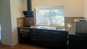 A modern kitchen with a built-in oven, a stove, a sink, and a window overlooking a snowy landscape. - Aliegusta (Gitschtal)
