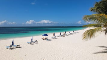 Una spiaggia nelle vicinanze