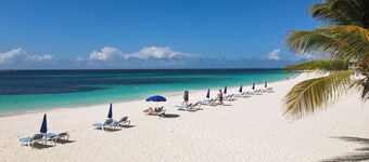 Better than a hotel room- 600sq ft Studio Suite!