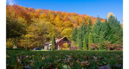 Cottage in a quite place in nature, between forest and river, in Transylvania.