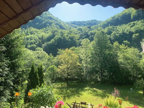 Cottage in a quite  place in nature, between forest and river, in Transylvania.