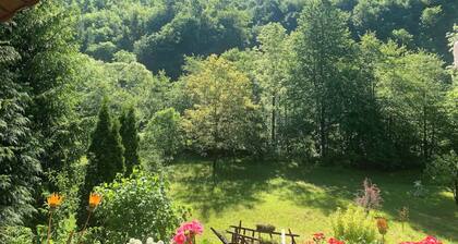 Cottage in a quite place in nature, between forest and river, in Transylvania.