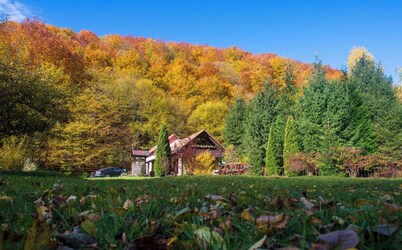 Cottage in a quite  place in nature, between forest and river, in Transylvania.