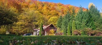 Cottage in a quite place in nature, between forest and river, in Transylvania.