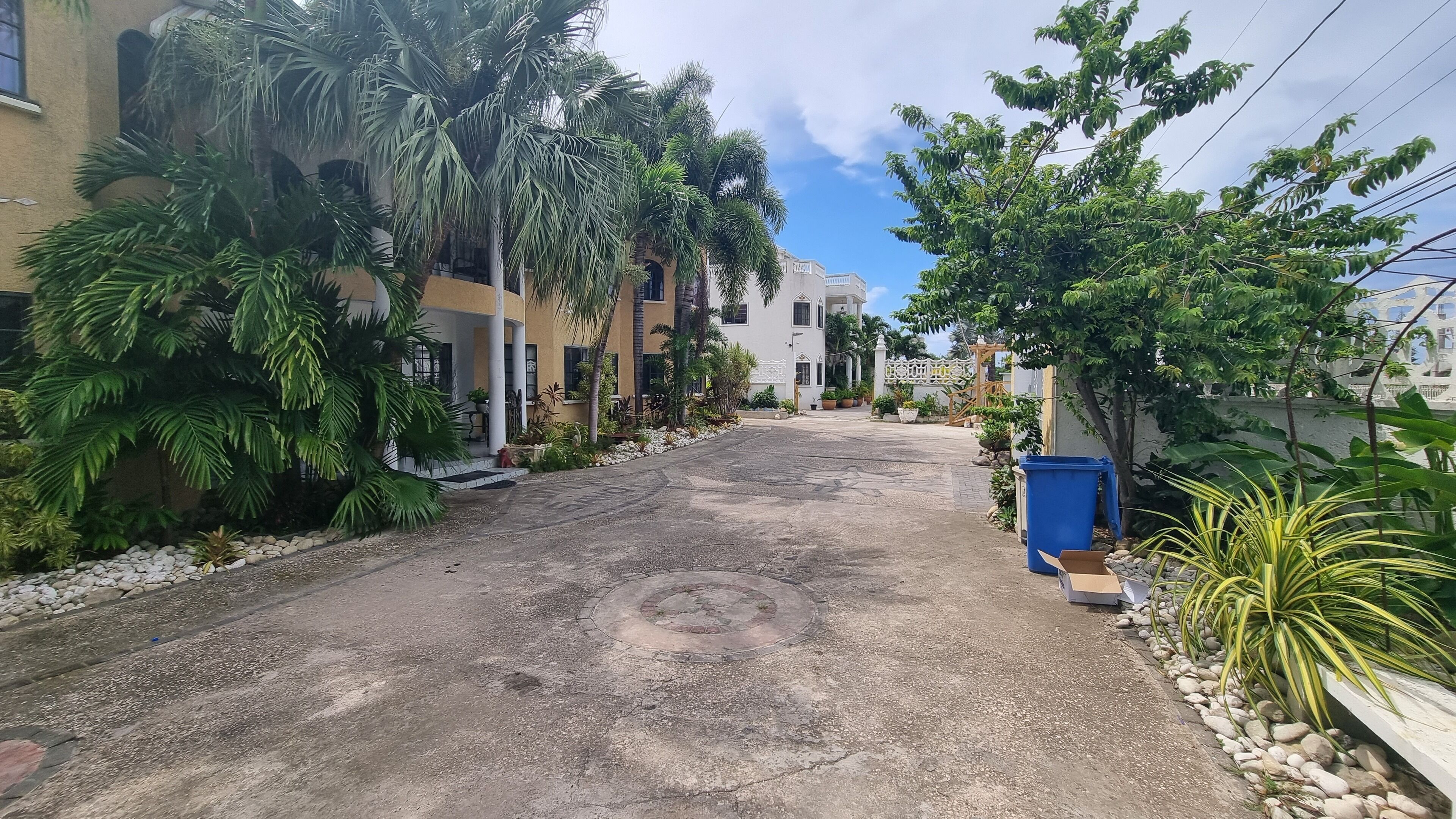Calle residencial con casas, palmeras y una entrada protegida.
