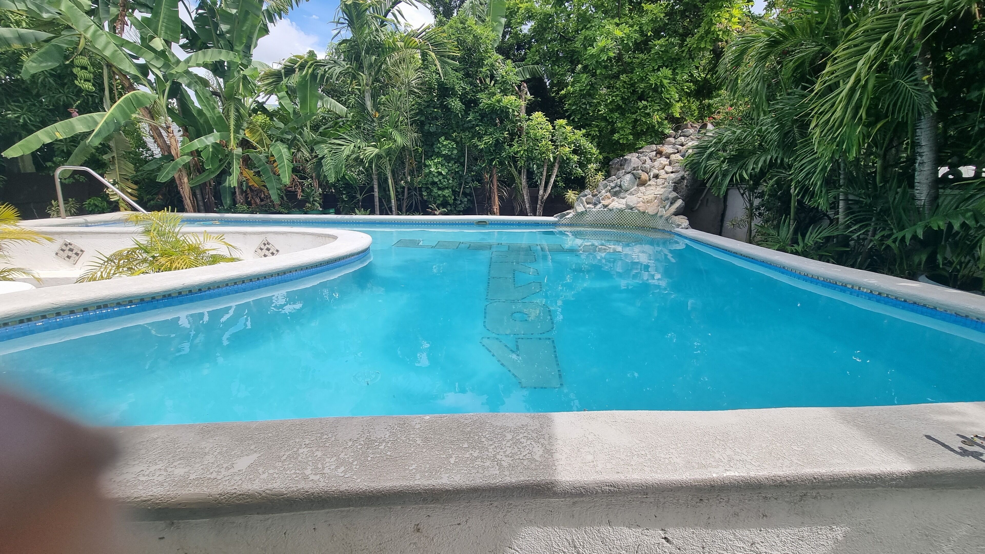 A swimming pool surrounded by lush greenery and a stone wall.