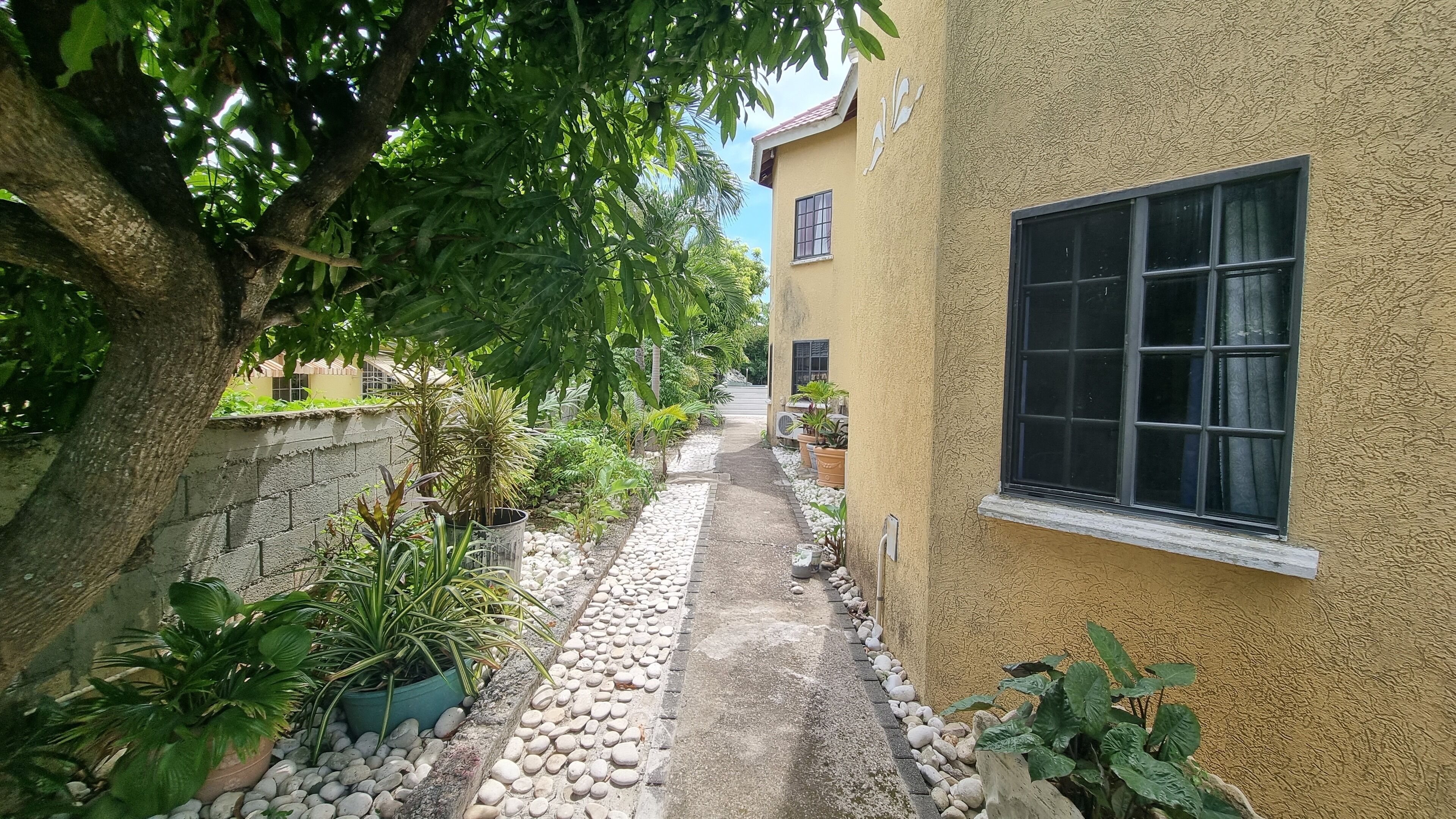A narrow pathway flanked by potted plants and a building with a window.