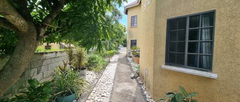 A narrow pathway flanked by potted plants and a building with a window.