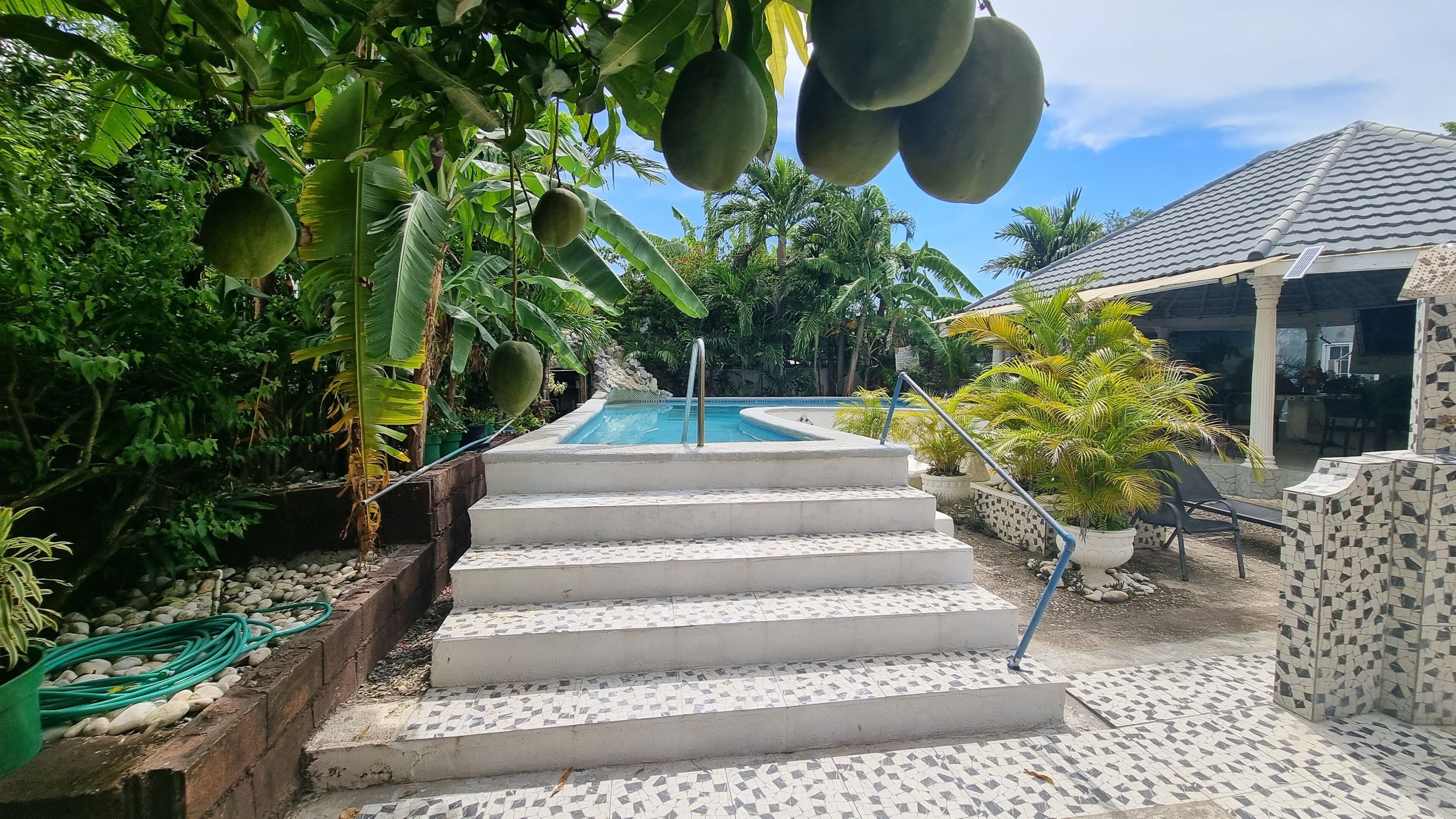 A pool area with steps leading to a pool, surrounded by lush greenery and a tiled patio.