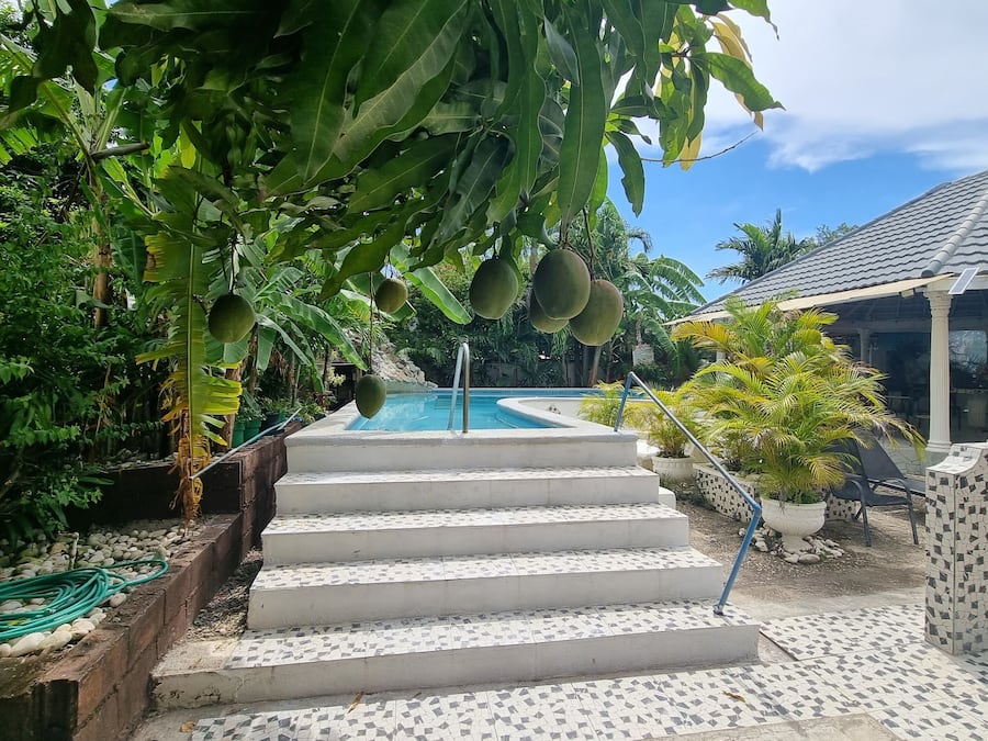 Terrein van de accommodatie