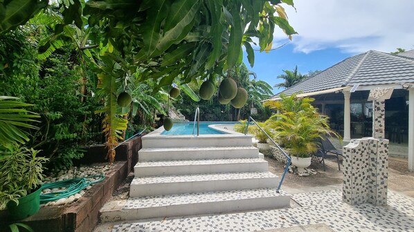 Property grounds - Little Savoy Guest House (Runaway Bay)