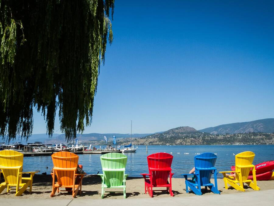 A row of colorful Adirondack chairs facing a body of water with boats and a marina in the background.