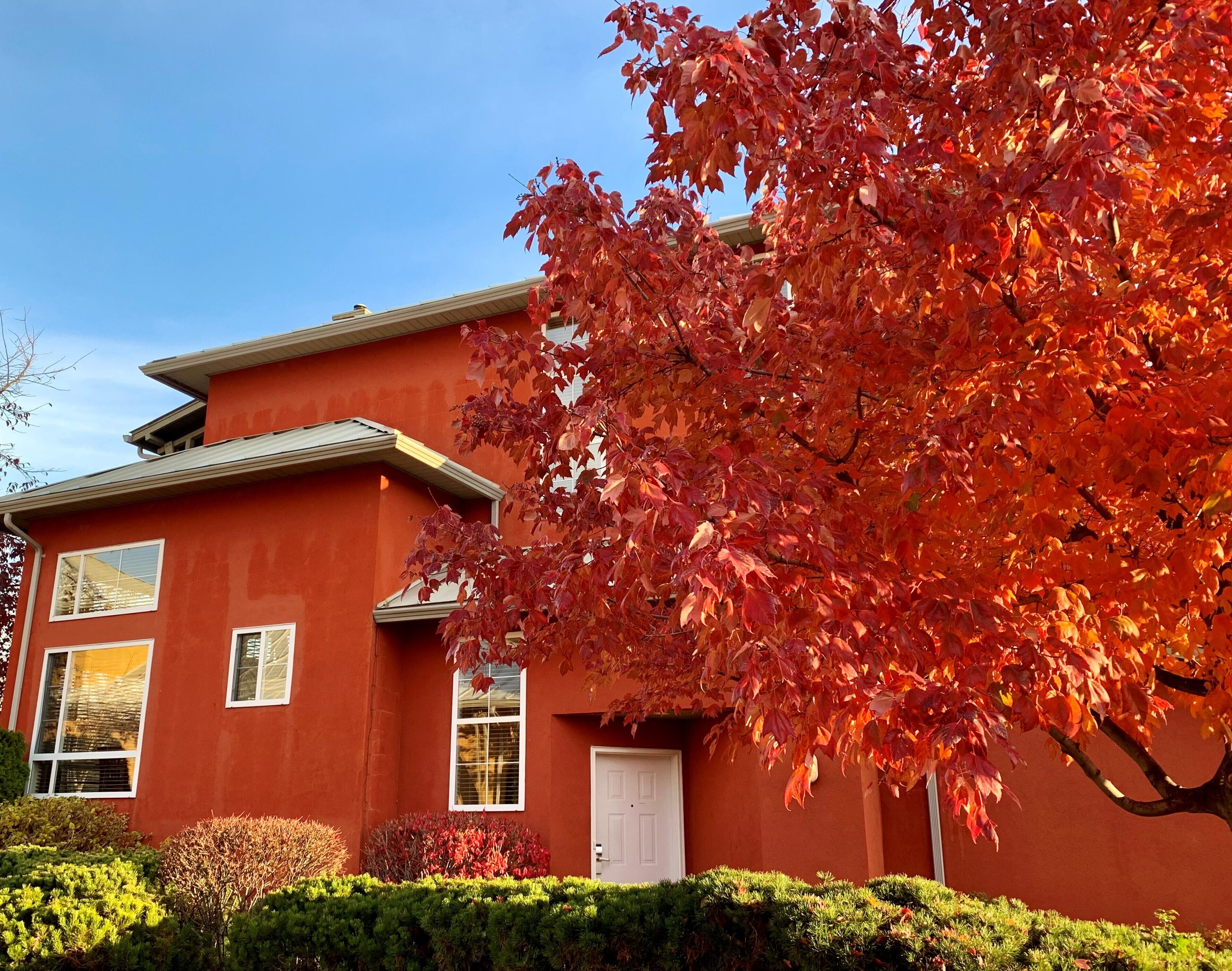 A red building with a white door and windows, surrounded by green shrubs and a tree with red leaves.