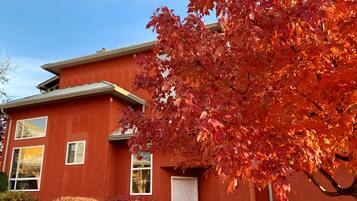 A red building with a white door and windows, surrounded by green shrubs and a tree with red leaves.