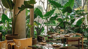 An outdoor dining area with tables and chairs, surrounded by large green plants and trees.