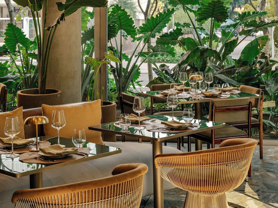 An outdoor dining area with tables and chairs, surrounded by large green plants and trees.