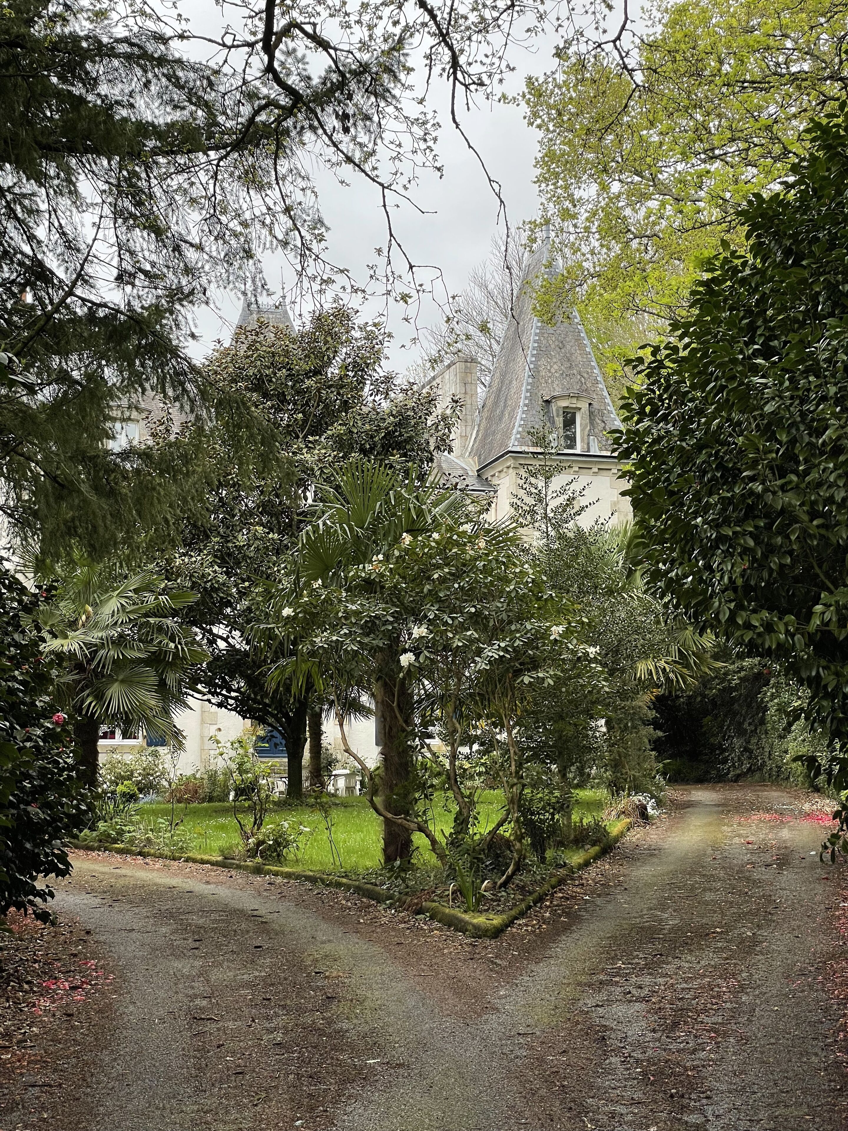 Un chemin menant à un bâtiment entouré d’une végétation luxuriante et d’arbres.