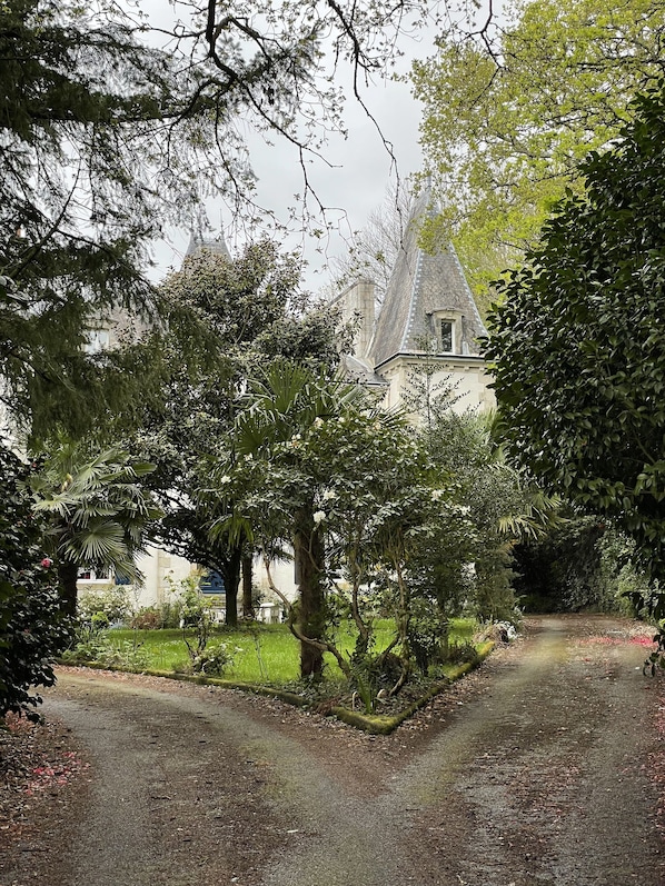 A pathway leading to a building surrounded by lush greenery and trees.