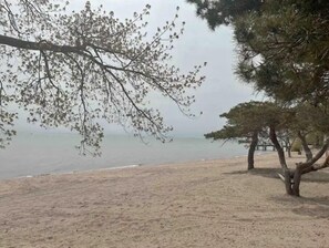 Ein Strand mit sandigem Ufer, Bäumen und ruhiger See.