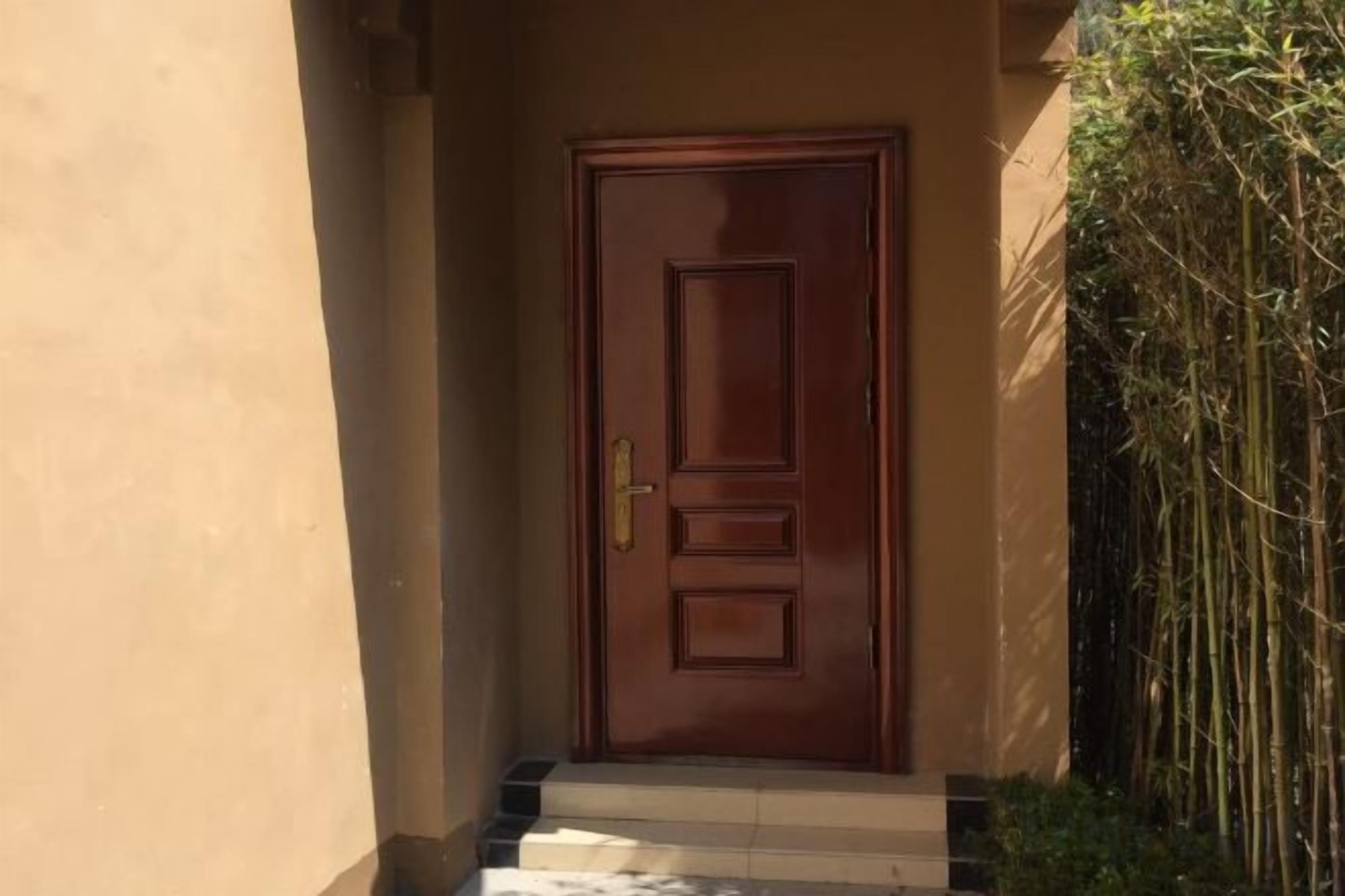 A wooden door with a brass handle, leading to a set of steps.