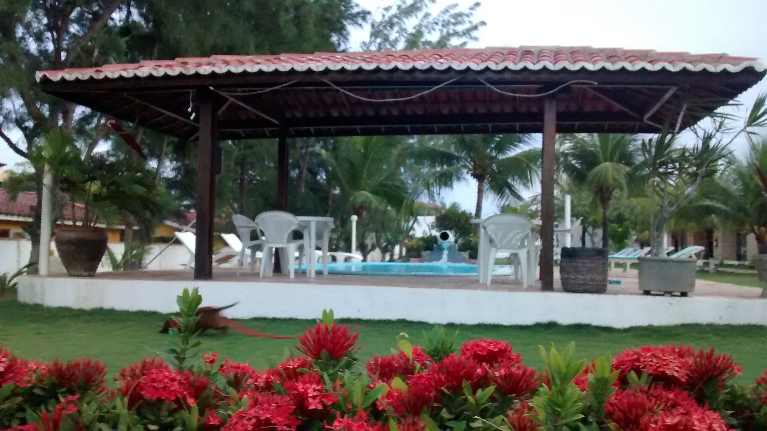 Un espacio al aire libre con techo, con sillas de plástico blanco y una piscina al fondo.