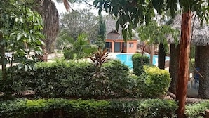 Una piscina rodeada de abundante vegetación y un pequeño edificio con techo de paja.