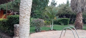 Garden - Kibwezi greenpark (Kibwezi)