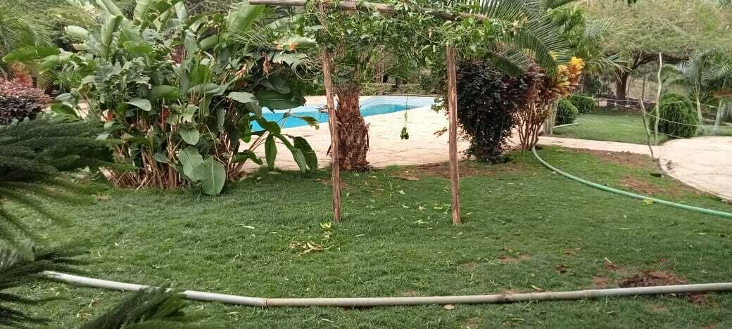 En velholdt have med en pool, omgivet af frodig vegetation og en pergola.