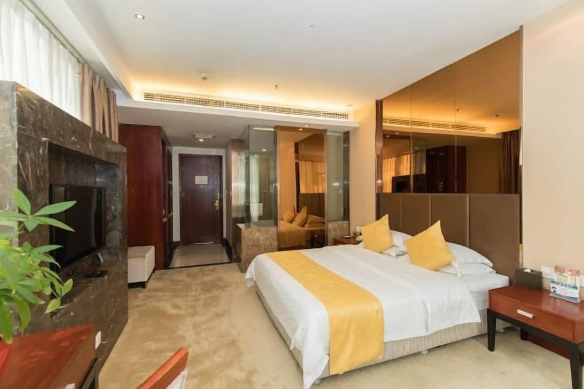 A hotel room with a bed, a television, a plant, and a mirror.