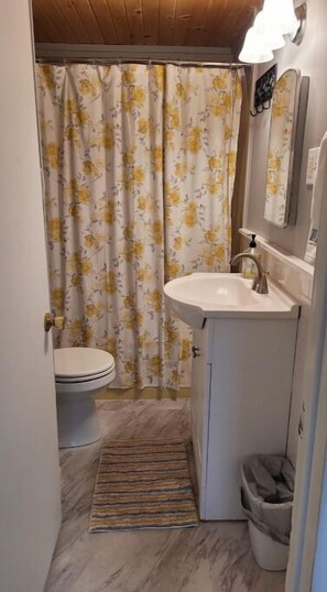 Shower, towels, toilet paper