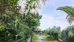 A garden pathway leading to a wooden house with a fenced yard. - Gorgeous home in Ascea Marina with house sea view (Ascea Marina)