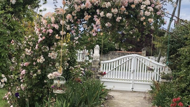 A garden pathway leading to a white gate, surrounded by lush greenery and flowering plants. - Small warm house. (Le Château-d'Oléron)