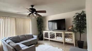 Smart TV, libros
