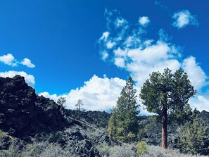 Un paysage rocheux à la végétation clairsemée, sous un ciel bleu dégagé.