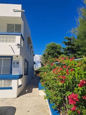 المنطقة المحيطة بالمنشأة