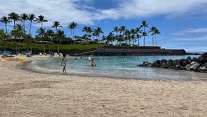 A beach with clear water, palm trees, and a rocky breakwater.